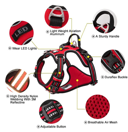 Nylon Dog Harness
