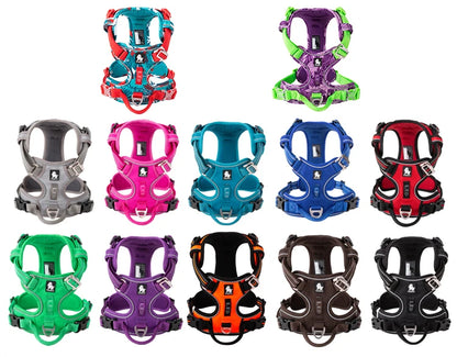 Nylon Dog Harness