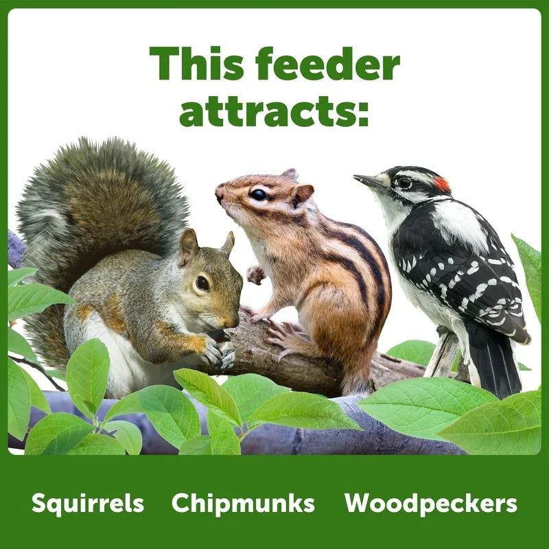 Red Cedar Squirrel Feeder