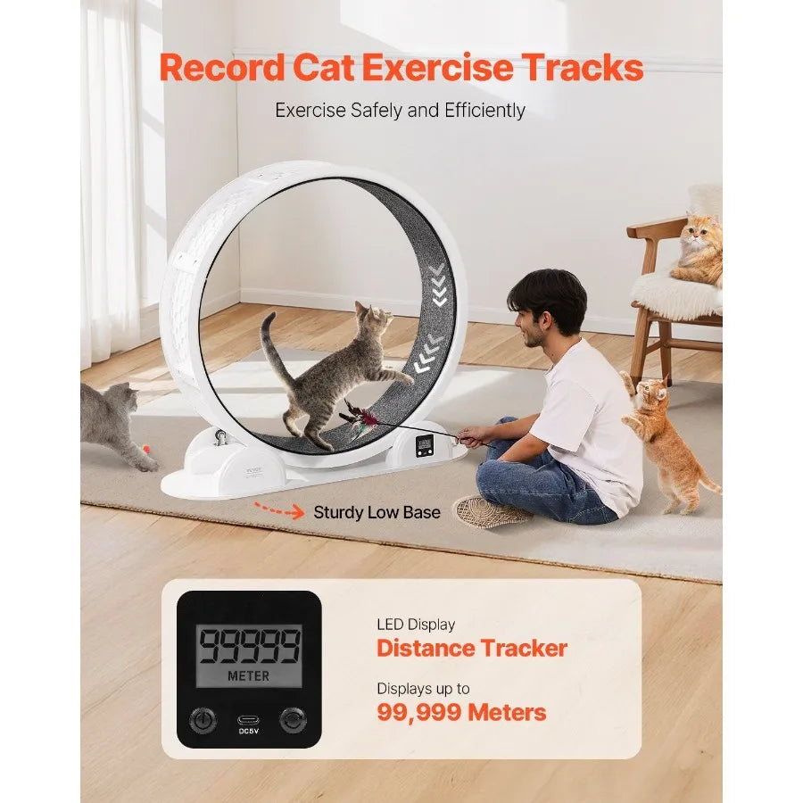 Cat Exercise Wheel with Pedometer