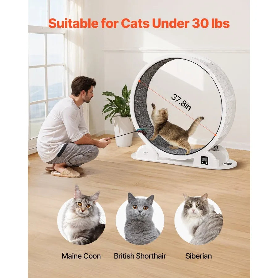 Cat Exercise Wheel with Pedometer