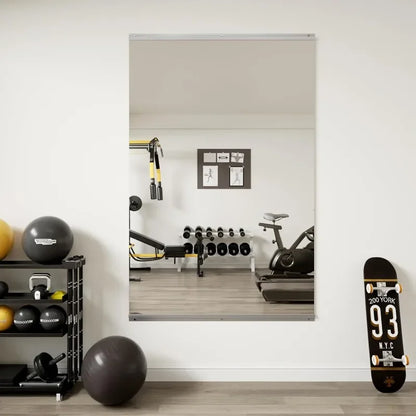 Workout Mirrors for Home Gym