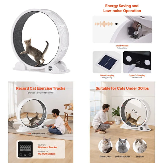 Cat Exercise Wheel with Pedometer