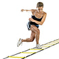 Agility Training Ladder